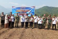 Kegiatan tersebut melibatkan Camat Cisalak, Danramil 0505/Tjs-Cslk, UPT Pertanian, pemerintah desa, anggota TNI/Polri, kelompok tani, serta masyarakat Desa Darmaga. Seluruh unsur bersama-sama melakukan penanaman jagung secara gotong royong.