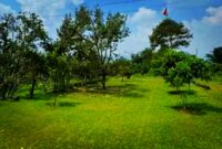 Sebuah area glamping yang berada di kawasan kebun durian dan alpukat di Ciater, Kabupaten Subang. Lahan tersebut memiliki luas sekitar 1,5 hektare. Poto. Dok. KPK