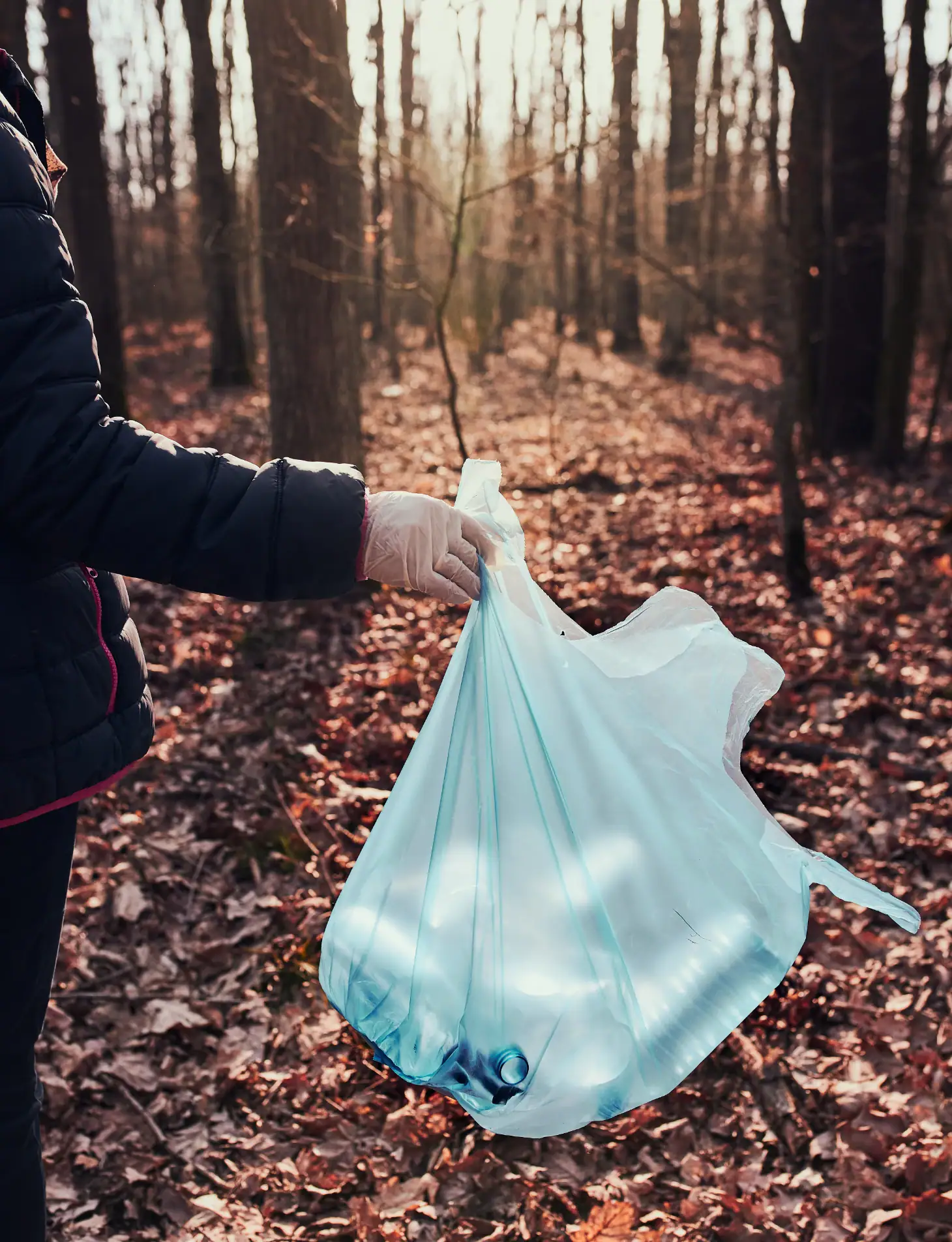 woman-cleaning-up-a-forest-2022-11-14-11-09-05-utc.webp