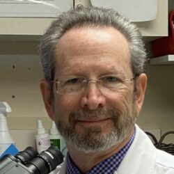 Barry Sarkell, M.D., FAAD