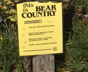 An Intruder in Montana