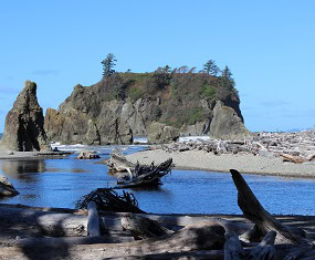 Olympic Peninsula Adventures