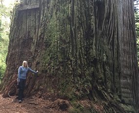 From the Deepest Lake to the Tallest Trees