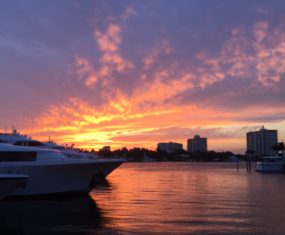 Florida Sunshine and Smiles