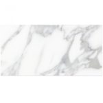 Calacatta 4 x 8