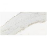 Calacatta 4 x 8
