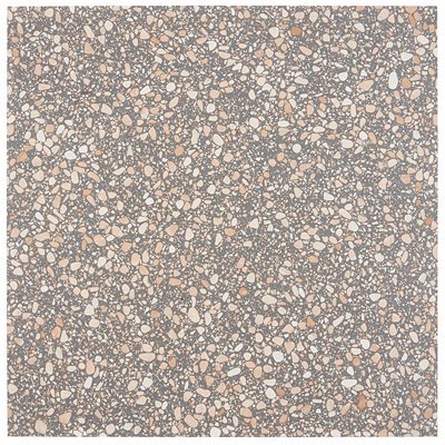 Italy Terrazzo Dolce Rina 24 x 24 Honed