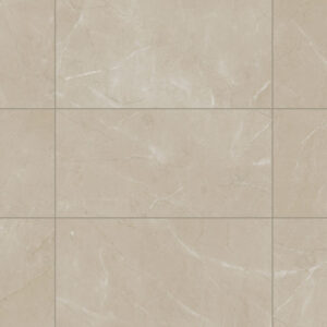 Elegant Beige