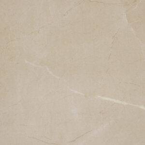 Elegant Beige