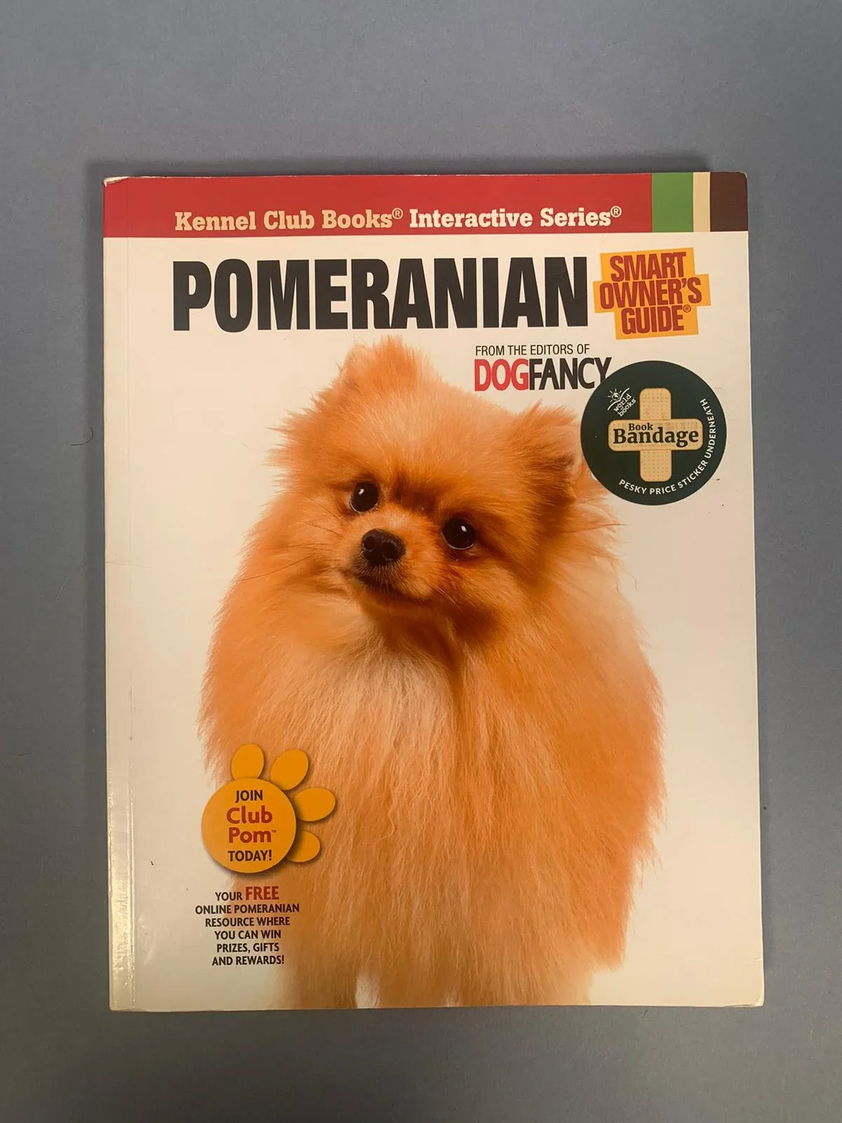 pomeranian