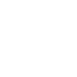Icon DLH