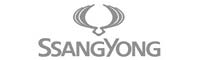 003-logo-ssangyoung_gris