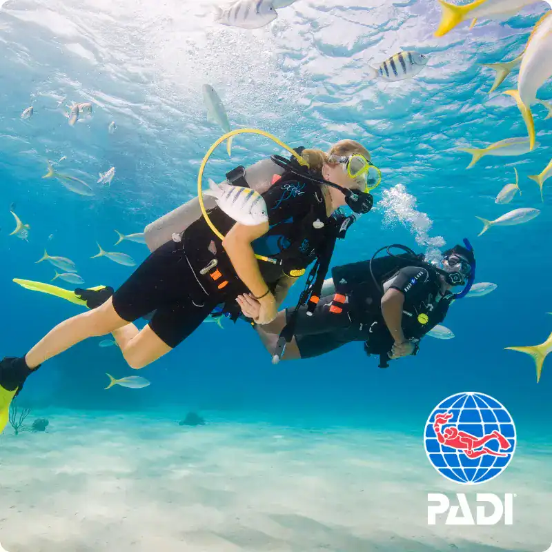 PADI Open Water Course in Koh Phi Phi – Beginner License