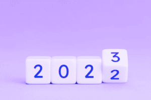 DIY Investor Review 2022