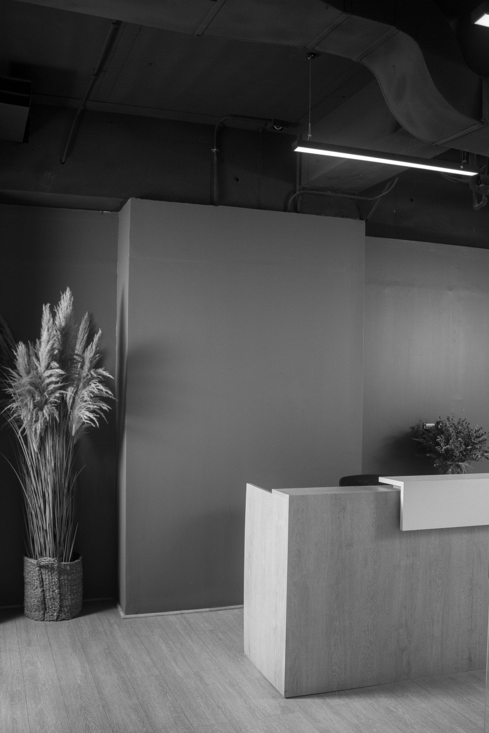 Imagen montada sobre el video