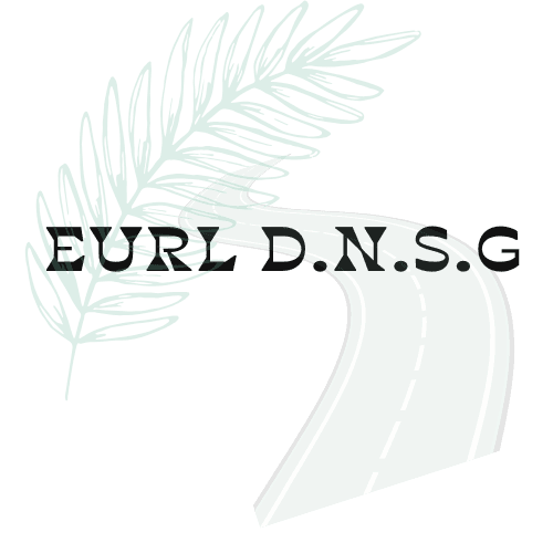 D’NOMEA SOLUTIONS GLOBALES