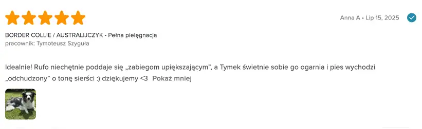 Opinia border collie