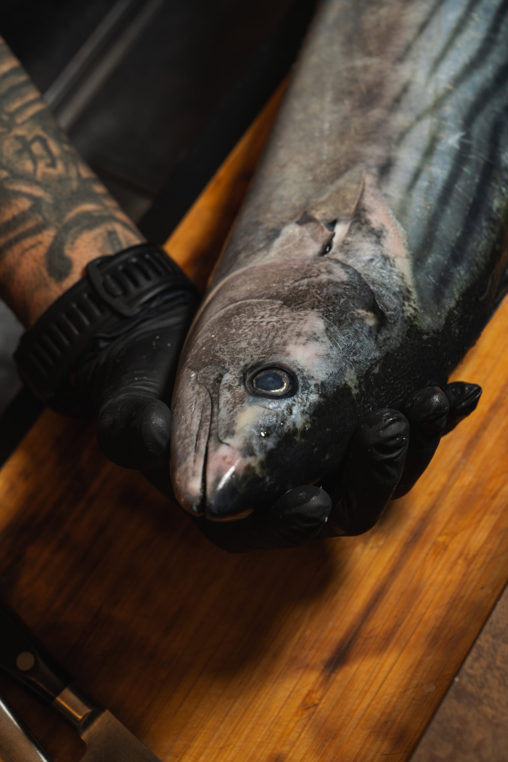 Garra. Agencia Place to Play.