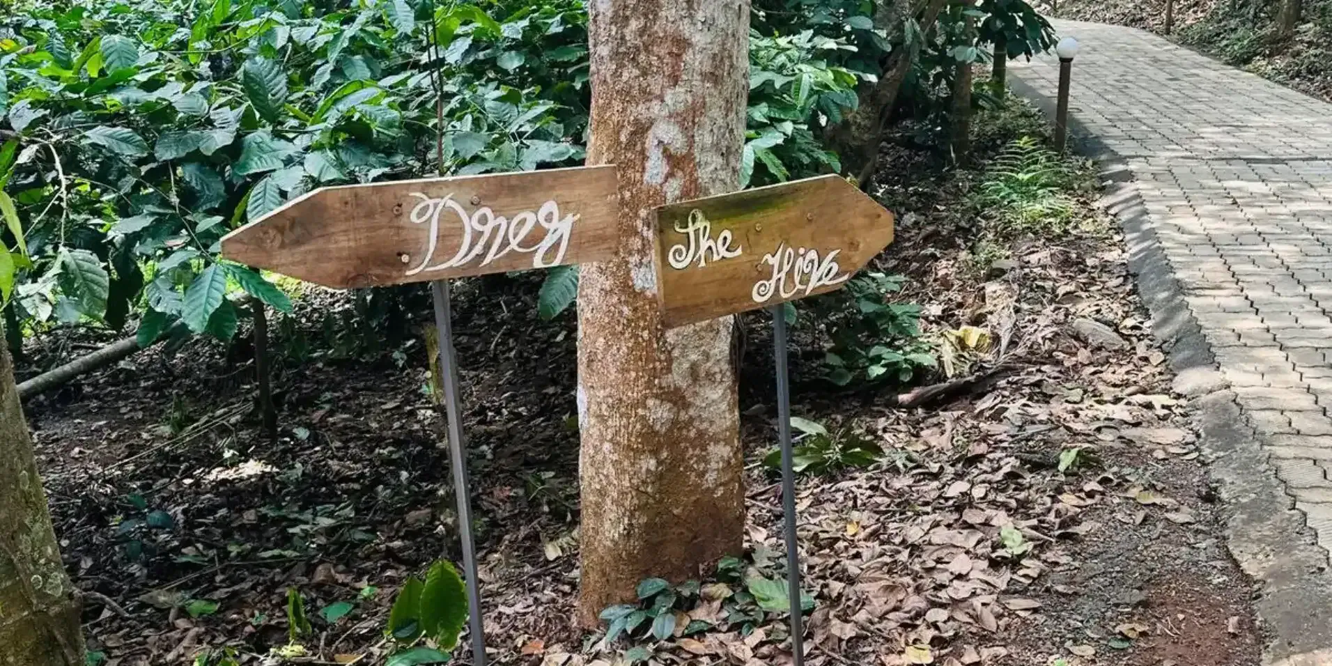 druv dakshin farm resort, wayanad, kerala