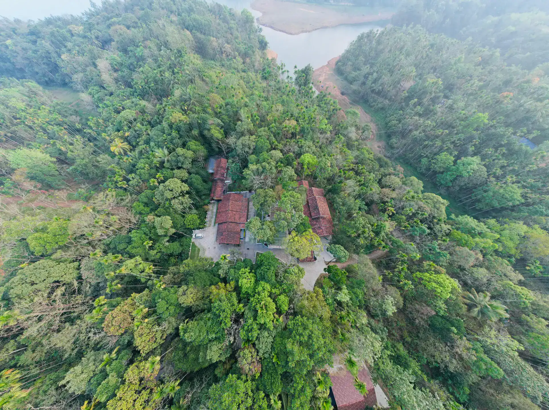 druv dakshin farm resort, wayanad, kerala