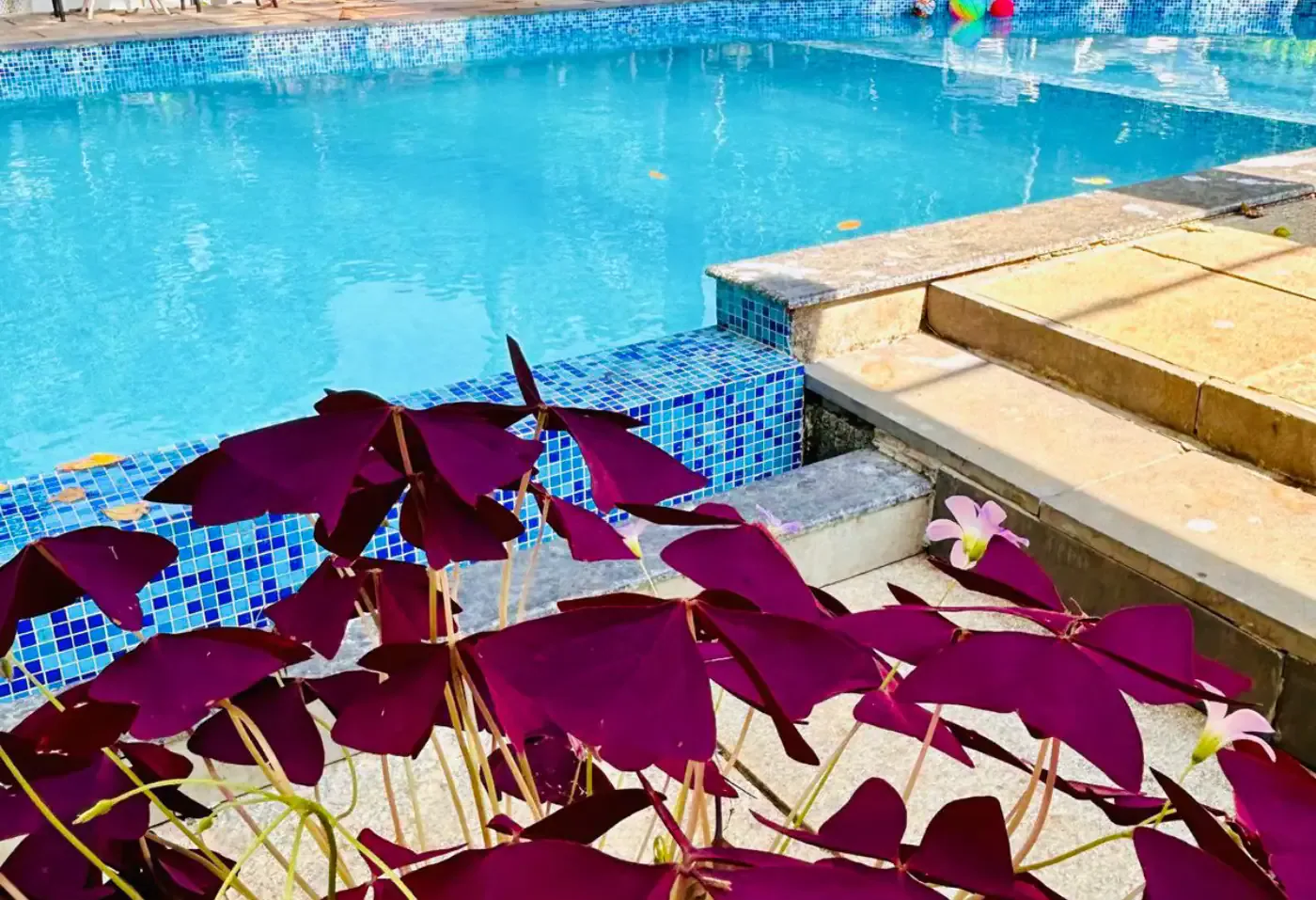 poolview2
