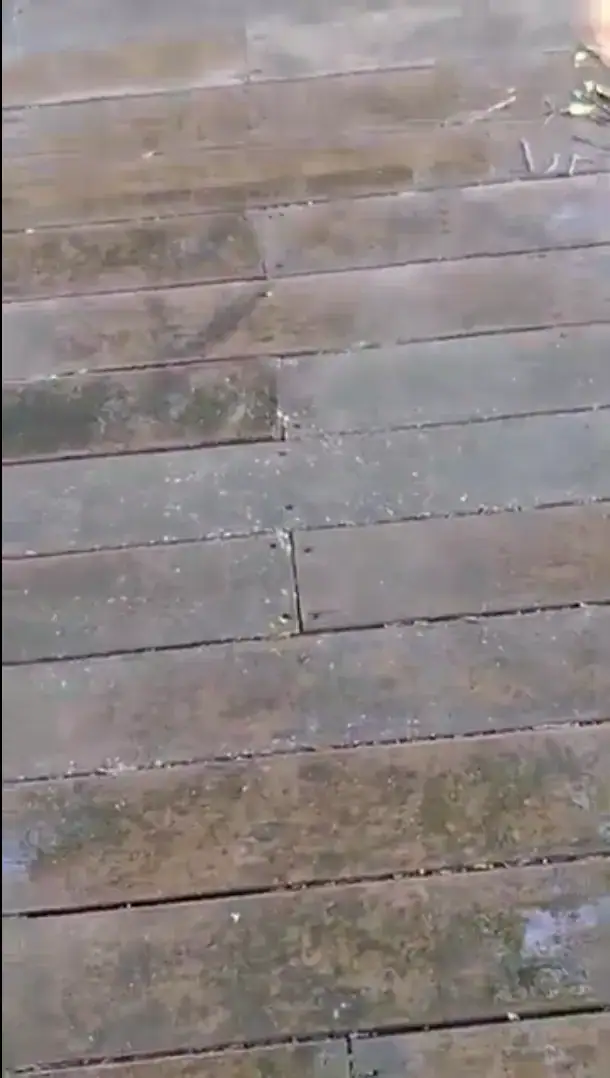 Pressure Washing and Exterior Cleaning | Charleston, SC Weathered wood deck before DSS exterior cleaning