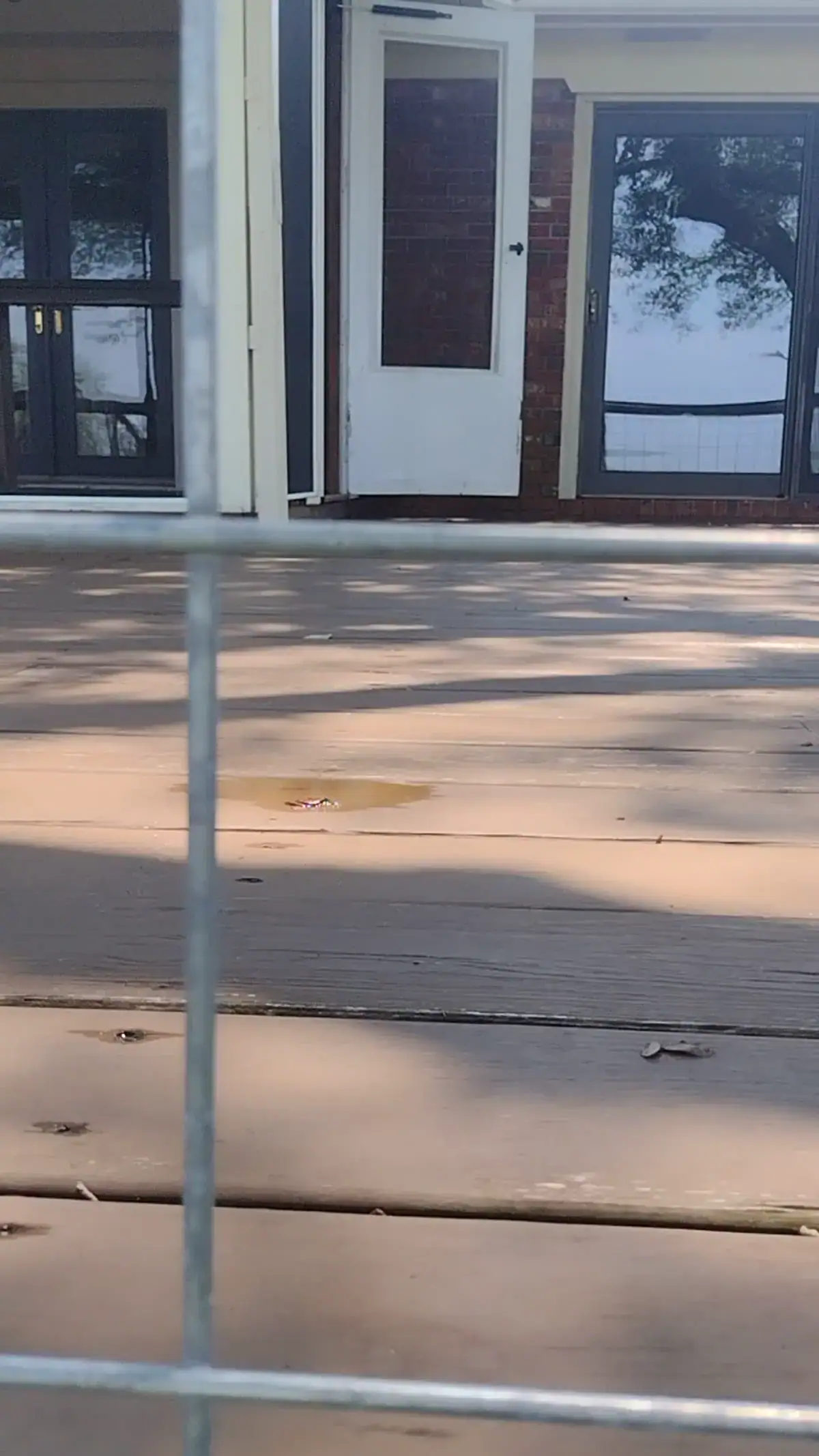 Pressure Washing and Exterior Cleaning | Charleston, SC Wood deck after DSS exterior cleaning service