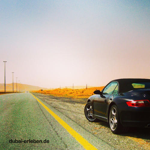Porsche_10