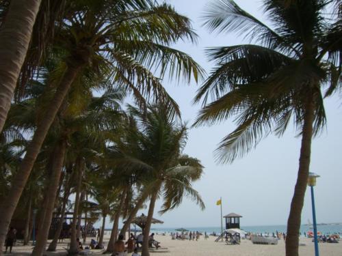 Palmenstrand