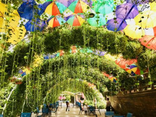Miracle Garden