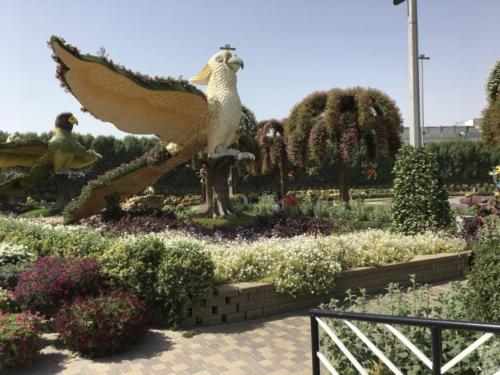 Miracle Garden Dubai