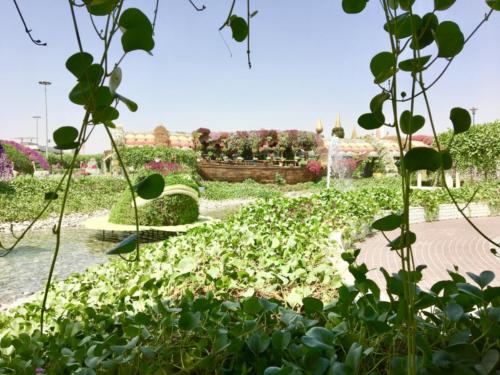 Miracle Garden