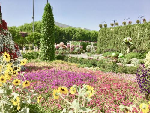 Miracle Garden Dubai