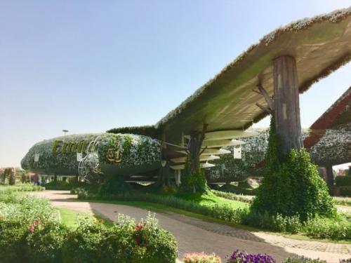 Miracle Garden Dubai