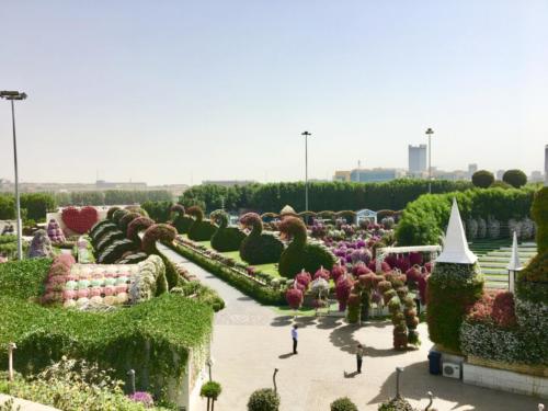 Miracle Garden Dubai