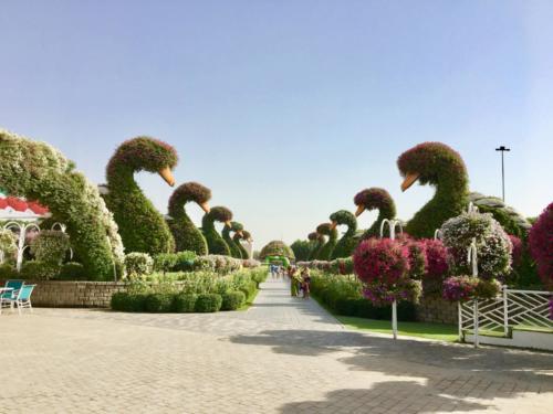 Miracle Garden Dubai