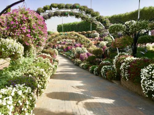Miracle Garden Dubai