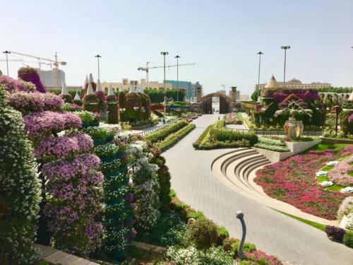 Miracle Garden Dubai