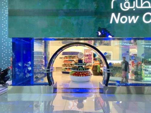 Dubai Mall Underwater Zoo Exit