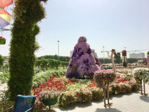 Miracle Garden Dubai