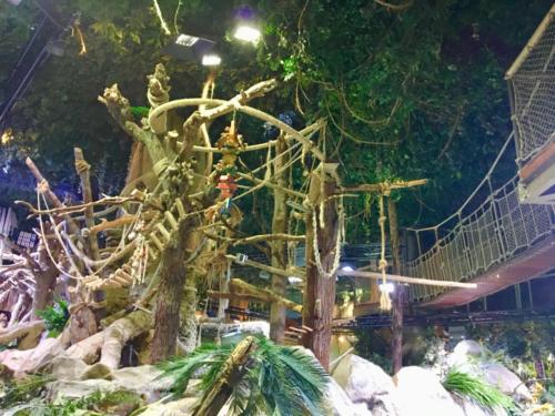 Dubai Mall Underwater Zoo