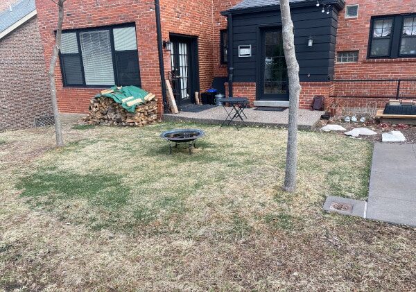 Dormant_2-e1680133424746.jpeg
