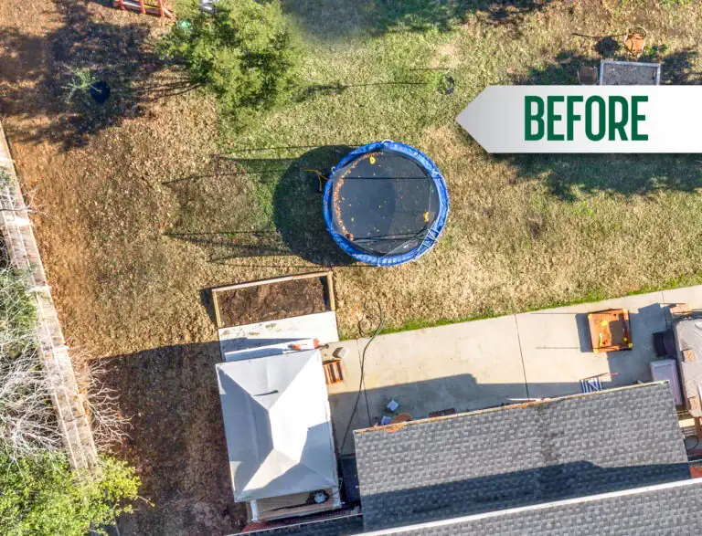 WHOLE-YARD_Timelapse_A-768x587-1.webp