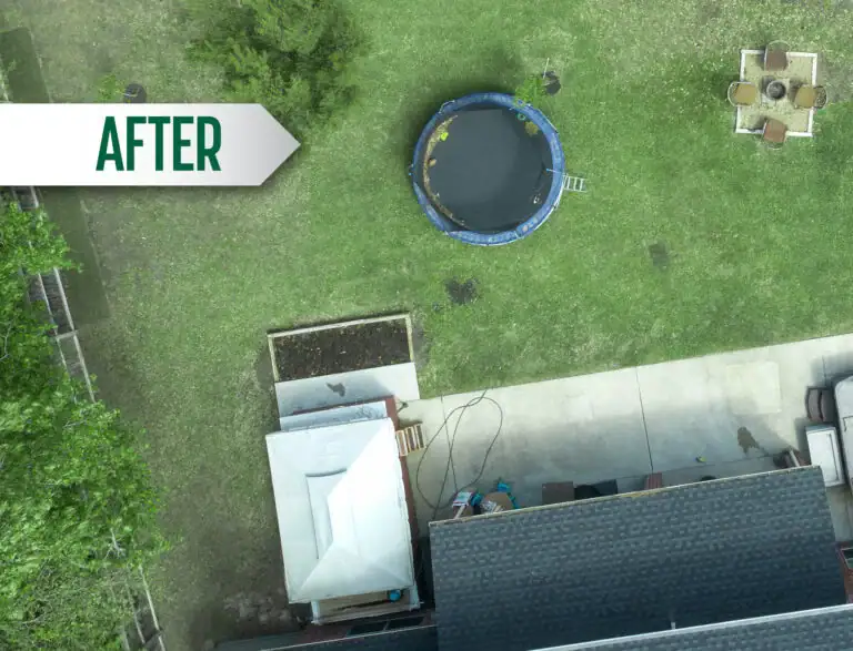 WHOLE-YARD_Timelapse_B-768x587-1.webp