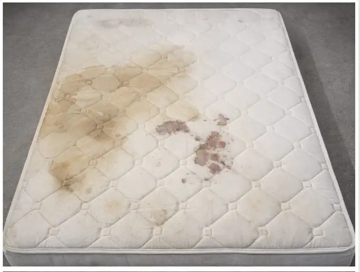 Знімок-екрана-2025-12-30-о-23.24.52