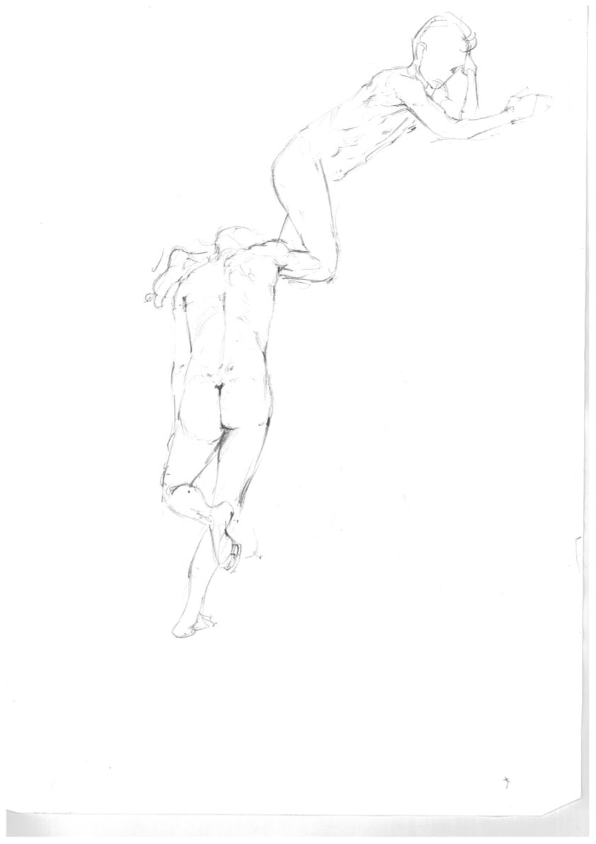 Morphologie