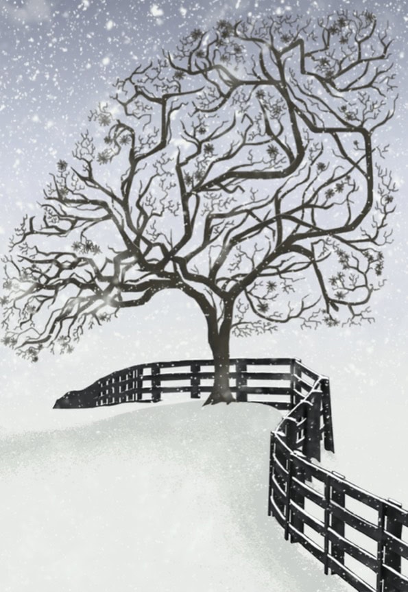 Paysage