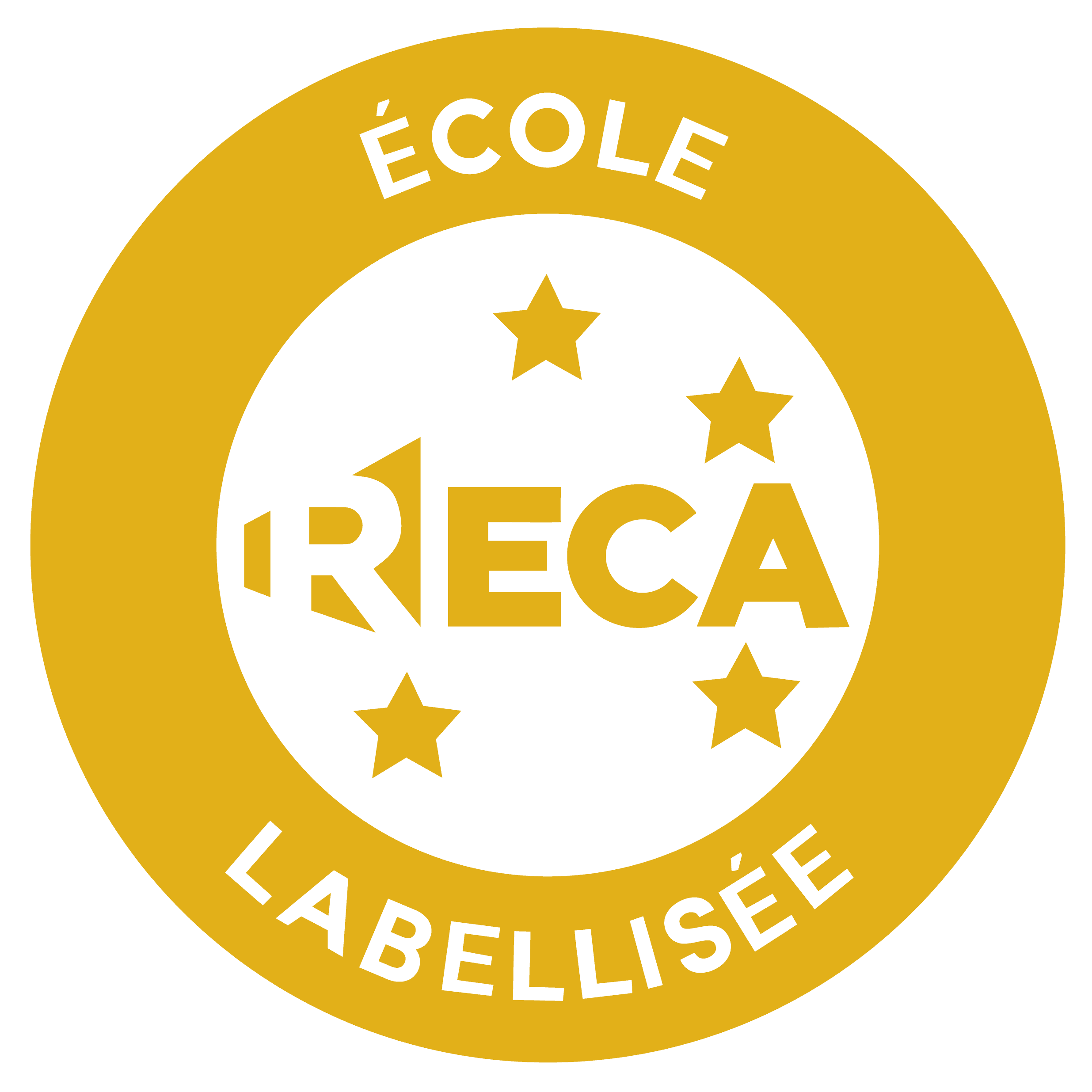 RECA Animation