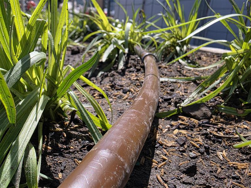 Perennial garden watering Ontario