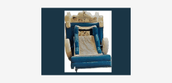Frozen Bounce House Combo